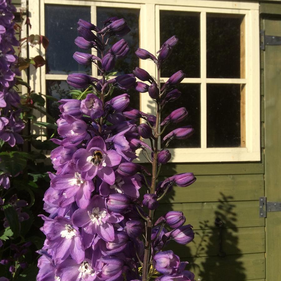 Bed and Breakfast Pomona Lowick Green Екстер'єр фото